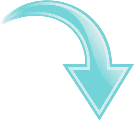 seta
